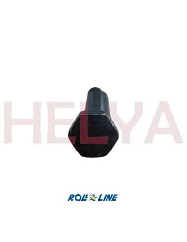 PERNO EXCENTRICO ROLL LINE LINEA PR80 M6