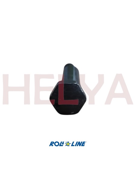 PERNO EXCENTRICO ROLL LINE LINEA PR80 M6